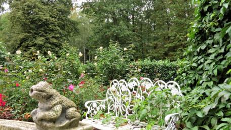 in a rose garden wallpaper