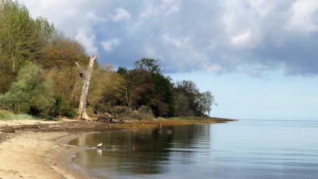 bay in autumn wallpaper