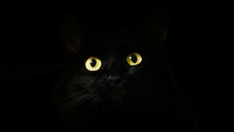 Eerie Glow in the Dark wallpaper