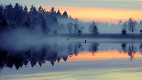 Misty Dawn Lake Reflection wallpaper