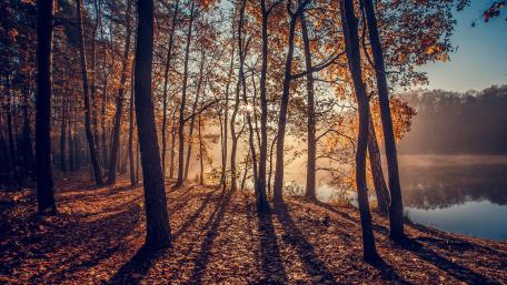 Autumn Sunrise by the Lake wallpaper