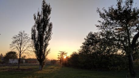 Serene Sunset Over Lush Greenery wallpaper