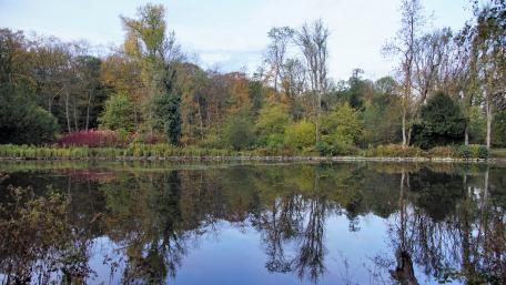 Herbst im Ruhgebiet wallpaper