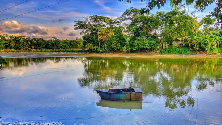 Village of Bangladesh wallpaper