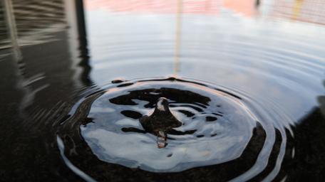 Ripple of Tranquility wallpaper