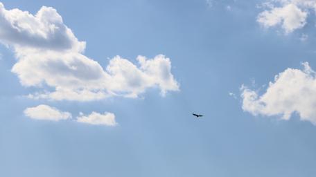 sky wallpaper