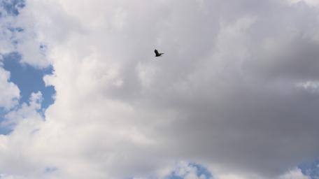 clouds wallpaper