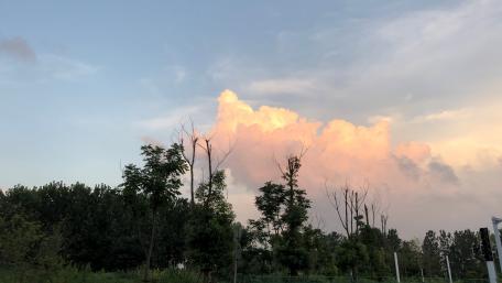 Pink Cloud wallpaper