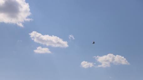 sky wallpaper