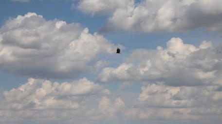 clouds wallpaper