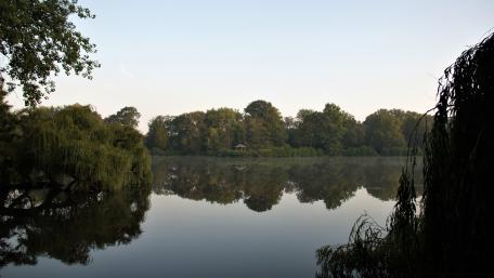 Morgens am See wallpaper