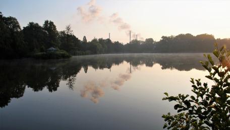 Morgens am See wallpaper