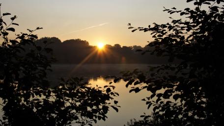 Sonnenaufgang am Nordpark wallpaper