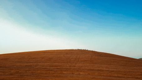 Windows XP Background in Summer hh wallpaper