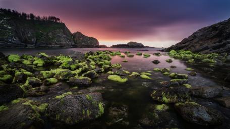 Serene Purple Shorelines at Dusk wallpaper