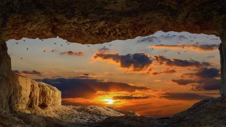Sunset Sanctuary in Nature's Frame wallpaper