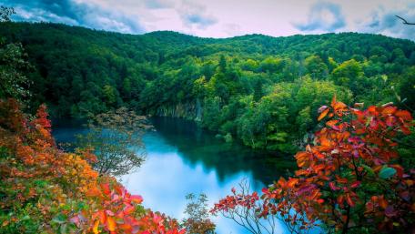 Autumn Tranquility at a Secluded Lake wallpaper