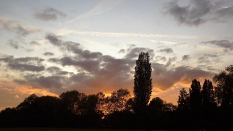 Sonnenuntergang im Herbst wallpaper