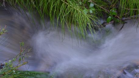 Serene Waterfall in Lush Greenery wallpaper