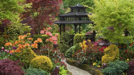 Japanese Zen Garden wallpaper