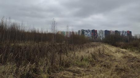 Urban Nature Contrast in 4K Wallpaper wallpaper