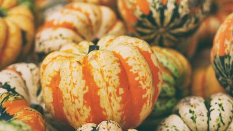 Pumpkin wallpaper