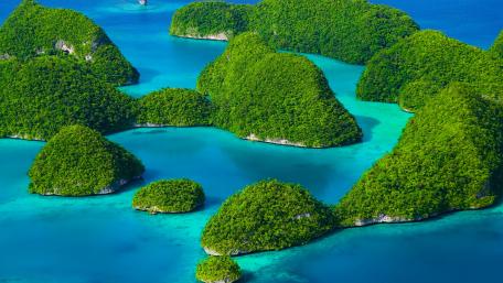 amazing nature wallpaper