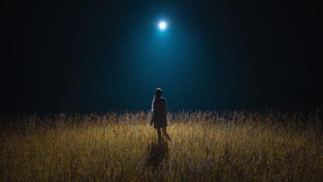Mystical Moonlit Dreamland wallpaper