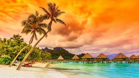 Summer wallpaper