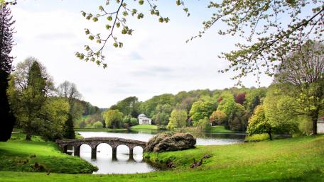 Serene Bridge in Lush Park Scenery wallpaper