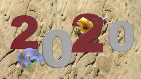 Happy Year 2020 wallpaper