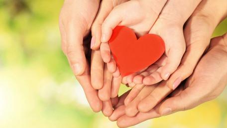 Hands Creating a Heart of Love and Connection wallpaper
