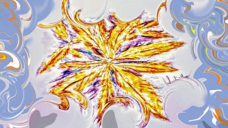 Plumeaux aquarelle 2019 wallpaper