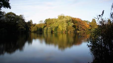 Der See am Morgen wallpaper