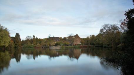 Wasserschloss Witringen wallpaper
