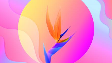 Radiant Floral Dreamscape in 4K wallpaper