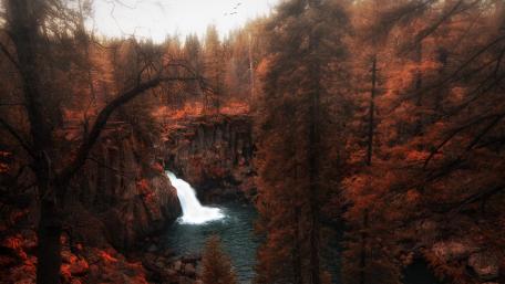 Autumn Waterfall in Enchanted Forest wallpaper