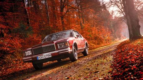 Autumn Drive in Classic Red Car wallpaper