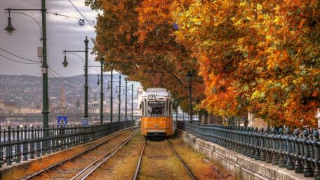 Autumnal Journey by the Danube in Budapest wallpaper
