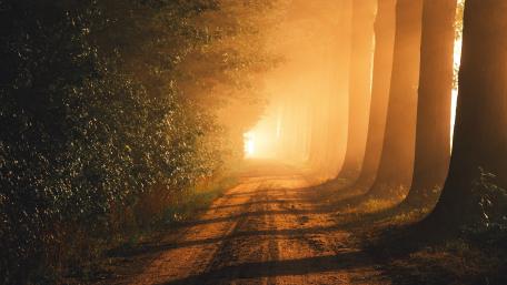 Mystic Sunrise on a Forest Path wallpaper