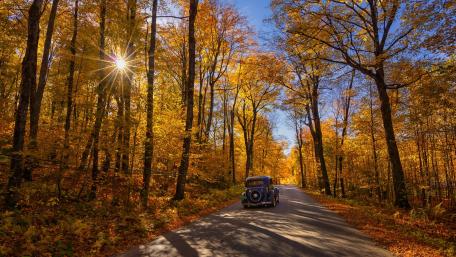 Classic Car Journey Through Autumn Splendor wallpaper