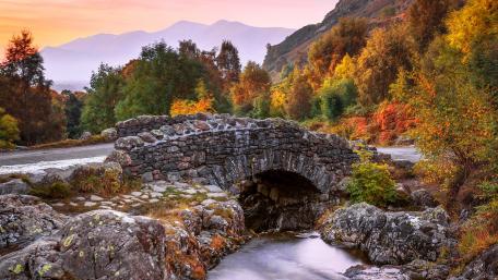 Enchanting Autumn Bridge wallpaper
