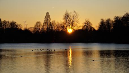 Sonnenuntergang im Herbst wallpaper