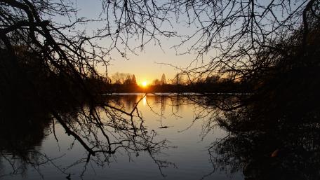 Sonnenuntergang im Herbst wallpaper