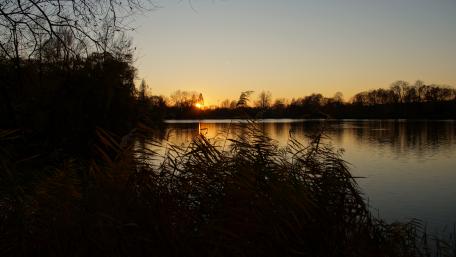Sonnenuntergang am See wallpaper