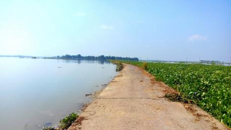 Pathway Along a Tranquil Lake View wallpaper