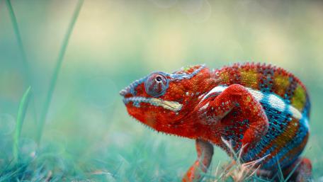 couleur wallpaper