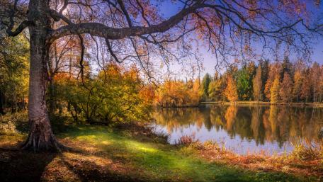Autumn Serenity by the Lake wallpaper
