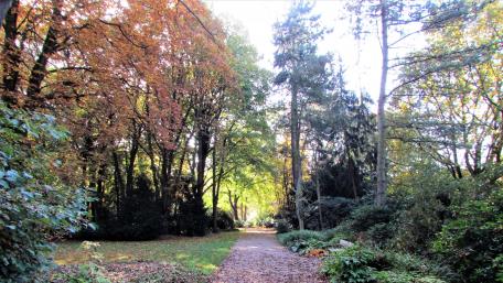 Herbstspaziergang im Park wallpaper