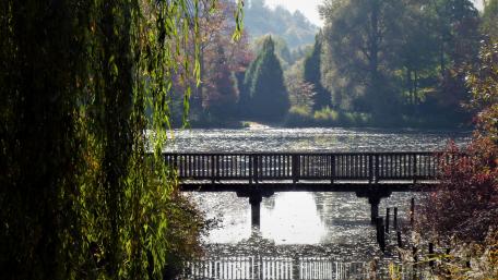 Die Brücke am See wallpaper